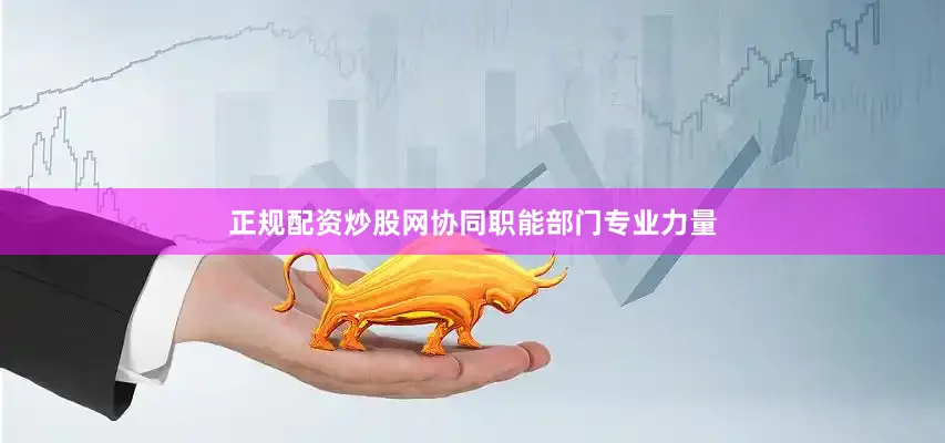 正规配资炒股网协同职能部门专业力量
