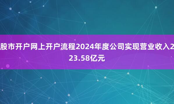 股市开户网上开户流程2024年度公司实现营业收入223.58亿元